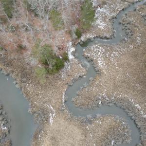 Photo #6 of Lot 11 Featherbed Lane, Gloucester, Virginia 11.3 acres