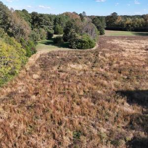 Photo #6 of 42-14 Chippokes Farm Road, Surry, Virginia 28.2 acres