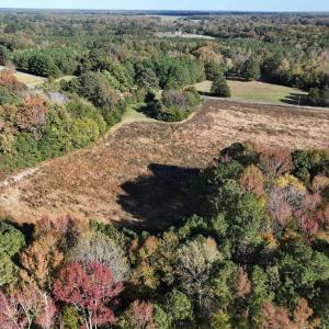 Photo #7 of 42-14 Chippokes Farm Road, Surry, Virginia 28.2 acres
