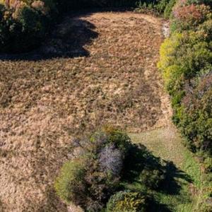 Photo #2 of 42-14 Chippokes Farm Road, Surry, Virginia 28.2 acres