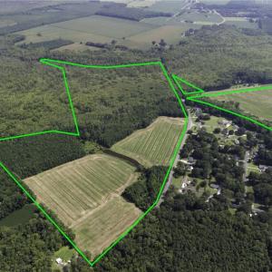 Photo #4 of 2628 Pocaty Road, Chesapeake, Virginia 216.0 acres