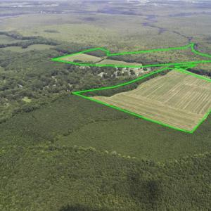 Photo #5 of 2628 Pocaty Road, Chesapeake, Virginia 216.0 acres