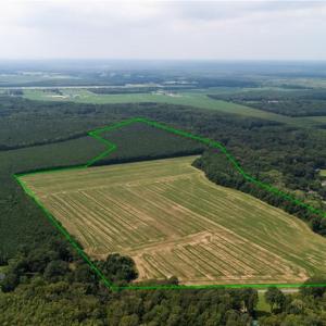 Photo #6 of 2628 Pocaty Road, Chesapeake, Virginia 216.0 acres