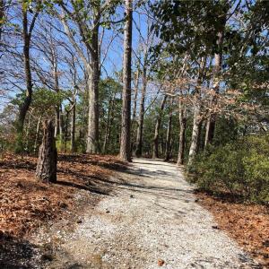 Walking trails
