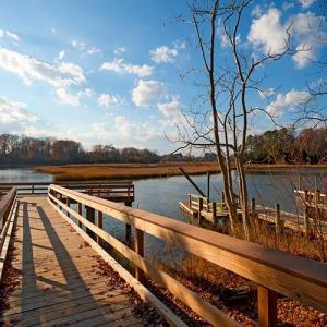 Photo #18 of L195 Raintree Circle, Suffolk, Virginia 0.3 acres