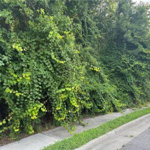 Photo #2 of 39 Edenbrook Drive, Hampton, Virginia 0.7 acres