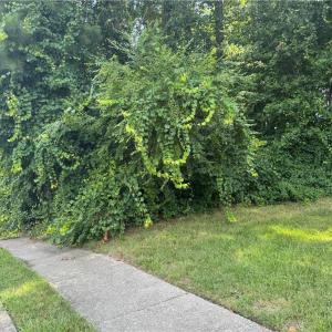 Photo #3 of 39 Edenbrook Drive, Hampton, Virginia 0.7 acres