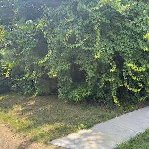 Photo #4 of 39 Edenbrook Drive, Hampton, Virginia 0.7 acres