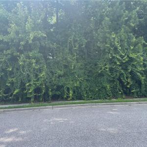 Photo #5 of 39 Edenbrook Drive, Hampton, Virginia 0.7 acres