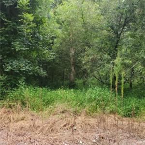 Photo #1 of 4364 Griffin Lane, Suffolk, Virginia 0.4 acres