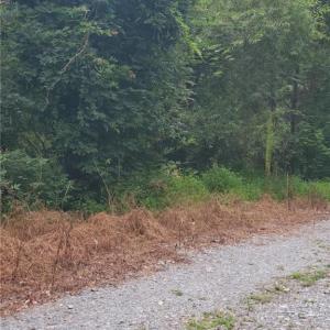 Photo #4 of 4364 Griffin Lane, Suffolk, Virginia 0.4 acres