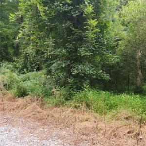 Photo #5 of 4364 Griffin Lane, Suffolk, Virginia 0.4 acres