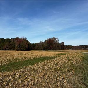Photo #12 of 100+AC Purdy Road, Emporia, Virginia 108.1 acres