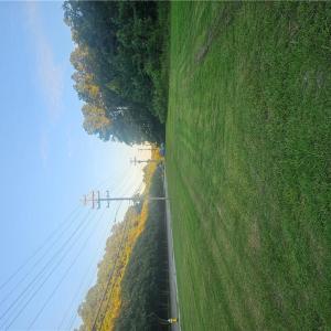 Photo #2 of 1249 Oceana Boulevard, Virginia Beach, Virginia 0.9 acres