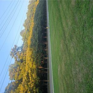Photo #3 of 1249 Oceana Boulevard, Virginia Beach, Virginia 0.9 acres