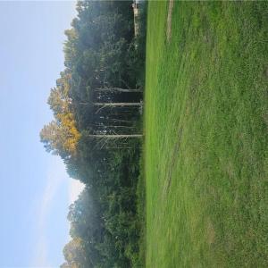 Photo #5 of 1249 Oceana Boulevard, Virginia Beach, Virginia 0.9 acres