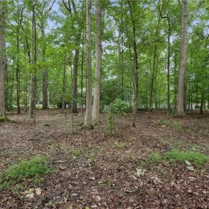 Photo #6 of 119 Rosemount, Williamsburg, Virginia 0.6 acres