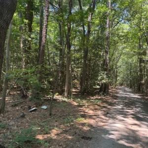 Photo #5 of .51+AC Old Ferry Road, Hudgins, Virginia 0.9 acres