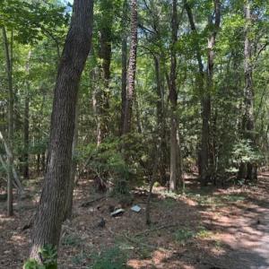 Photo #6 of .51+AC Old Ferry Road, Hudgins, Virginia 0.9 acres