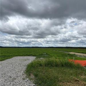land