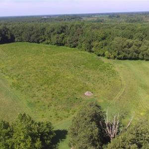 Photo #2 of 40.9AC White Meadow Road, Boykins, Virginia 40.9 acres