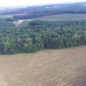 Photo #4 of 40.9AC White Meadow Road, Boykins, Virginia 40.9 acres