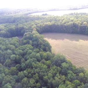 Photo #5 of 40.9AC White Meadow Road, Boykins, Virginia 40.9 acres