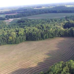 Photo #3 of 40.9AC White Meadow Road, Boykins, Virginia 40.9 acres