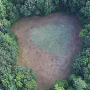 Photo #6 of 40.9AC White Meadow Road, Boykins, Virginia 40.9 acres