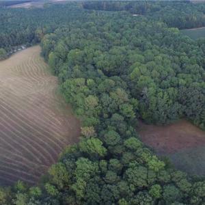 Photo #7 of 40.9AC White Meadow Road, Boykins, Virginia 40.9 acres