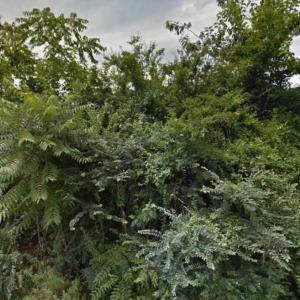 Photo #1 of LOT 83 York Street, Suffolk, Virginia 0.2 acres