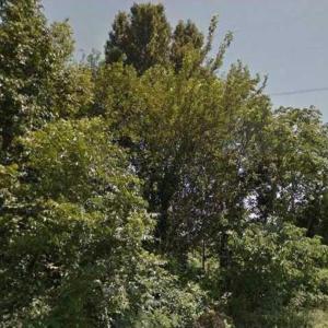 Photo #2 of LOT 76 Bidwell Street, Suffolk, Virginia 0.3 acres