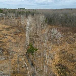 Photo #12 of 220 Dunn, Gibsonville, NC 80.6 acres