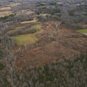 Photo #3 of 220 Dunn, Gibsonville, NC 80.6 acres