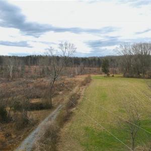 Photo #11 of 220 Dunn, Gibsonville, NC 80.6 acres