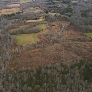 Photo #2 of 220 Dunn, Gibsonville, NC 80.6 acres