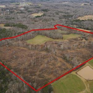 Photo #6 of 220 Dunn, Gibsonville, NC 80.6 acres