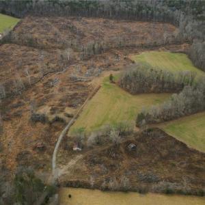 Photo #13 of 220 Dunn, Gibsonville, NC 80.6 acres