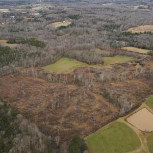 Photo #7 of 220 Dunn, Gibsonville, NC 80.6 acres