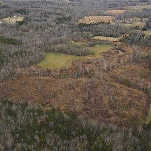 Photo #9 of 220 Dunn, Gibsonville, NC 80.6 acres