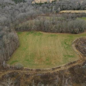 Photo #10 of 220 Dunn, Gibsonville, NC 80.6 acres