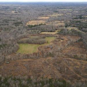 Photo #4 of 220 Dunn, Gibsonville, NC 80.6 acres