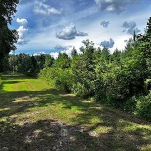 Photo #2 of 120+AC OLD CHURCH Road, New Kent, Virginia 128.0 acres