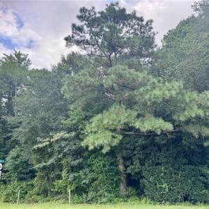 Photo #2 of 17 George Washington Memorial Highway, Hayes, Virginia 2.3 acres