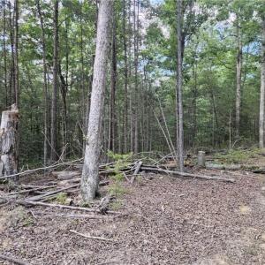 Photo #1 of 10055 Old Stage Road, Toano, Virginia 40.2 acres