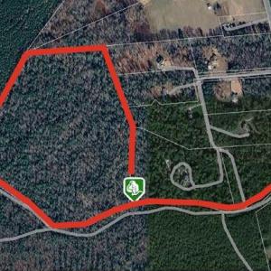 Photo #3 of 10055 Old Stage Road, Toano, Virginia 40.2 acres
