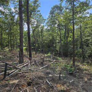 Photo #5 of 10055 Old Stage Road, Toano, Virginia 40.2 acres