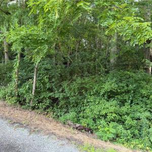 Photo #1 of 1.00AC Clay Bank Road, Gloucester, Virginia 1.0 acres