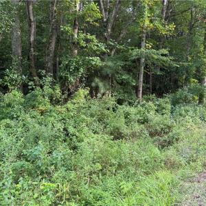 Photo #3 of 1.00AC Clay Bank Road, Gloucester, Virginia 1.0 acres