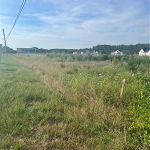 Land View